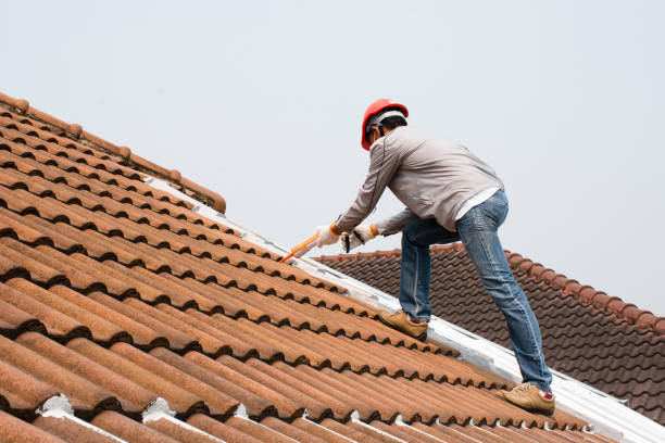 Steel Roofing in Elkader, IA
